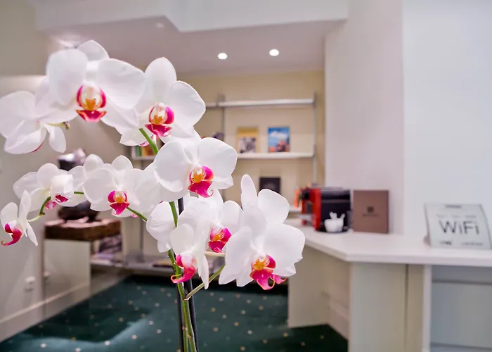 サラゴサ プラサ *