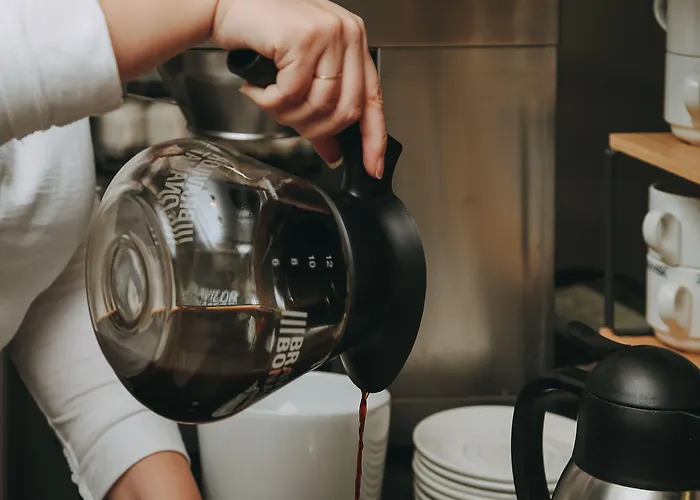 Zaragoza Plaza Otel *